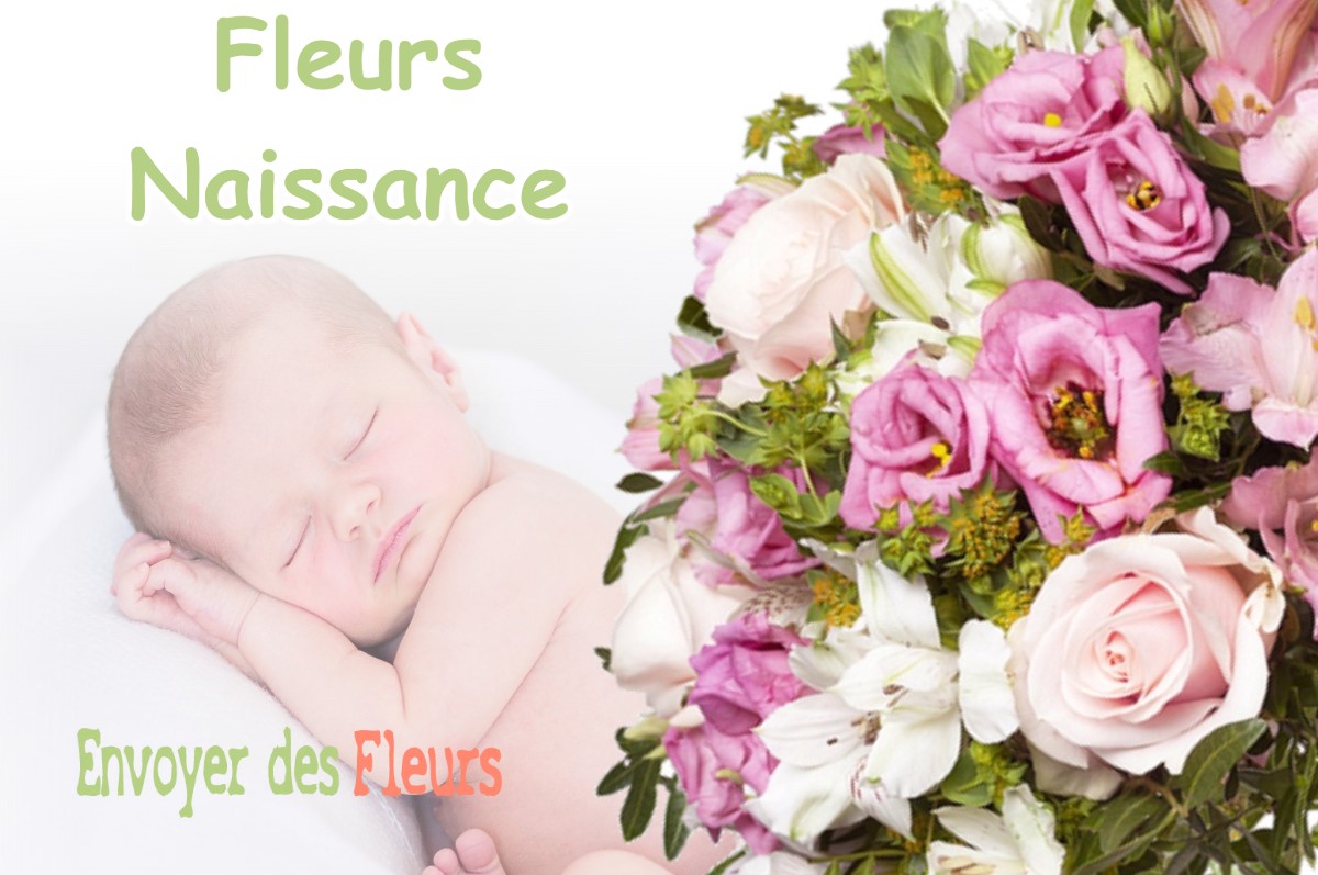 lIVRAISON FLEURS NAISSANCE à CHAMROUSSE